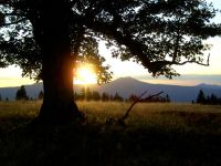 66 abendsonne am rukowitzschachten
